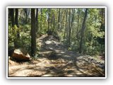 027 Restore Gap -Trail- NPS Photo